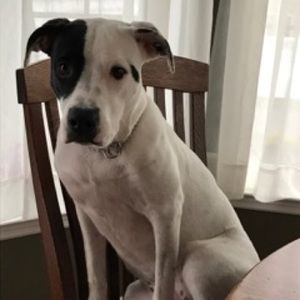 Meet your Posher, Tara